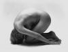 обзор сайта "Bare Naked Gallery - Photographs by Joris Van Daele"